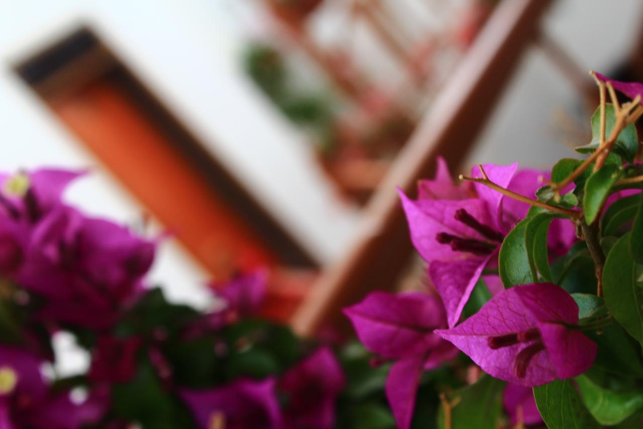Amaru Hotel Huaraz ภายนอก รูปภาพ