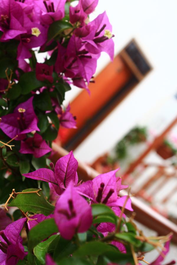 Amaru Hotel Huaraz ภายนอก รูปภาพ